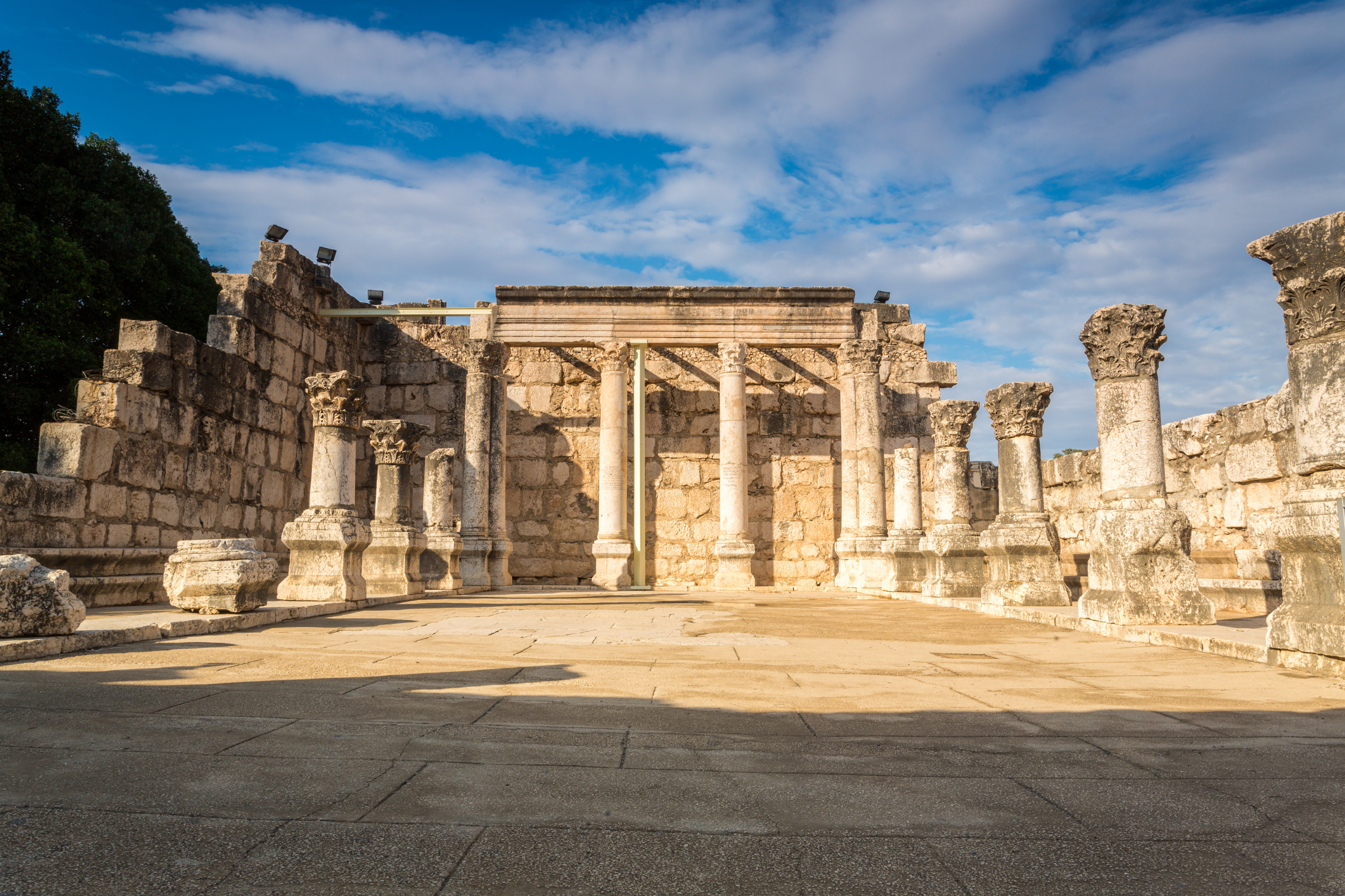 capernaum (2).webp